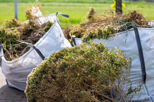Best Household Junk Removal  in Guyton, GA